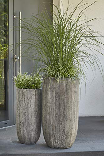 Hochwertige & Wunderschöne Pflanzvasen im 2er Set - Holzoptik/Holzstruktur - Fiberglas - Mit Einsatz – Indoor – Blumenkübel/Pflanzgefäß/Vase/Kübel (Grau)