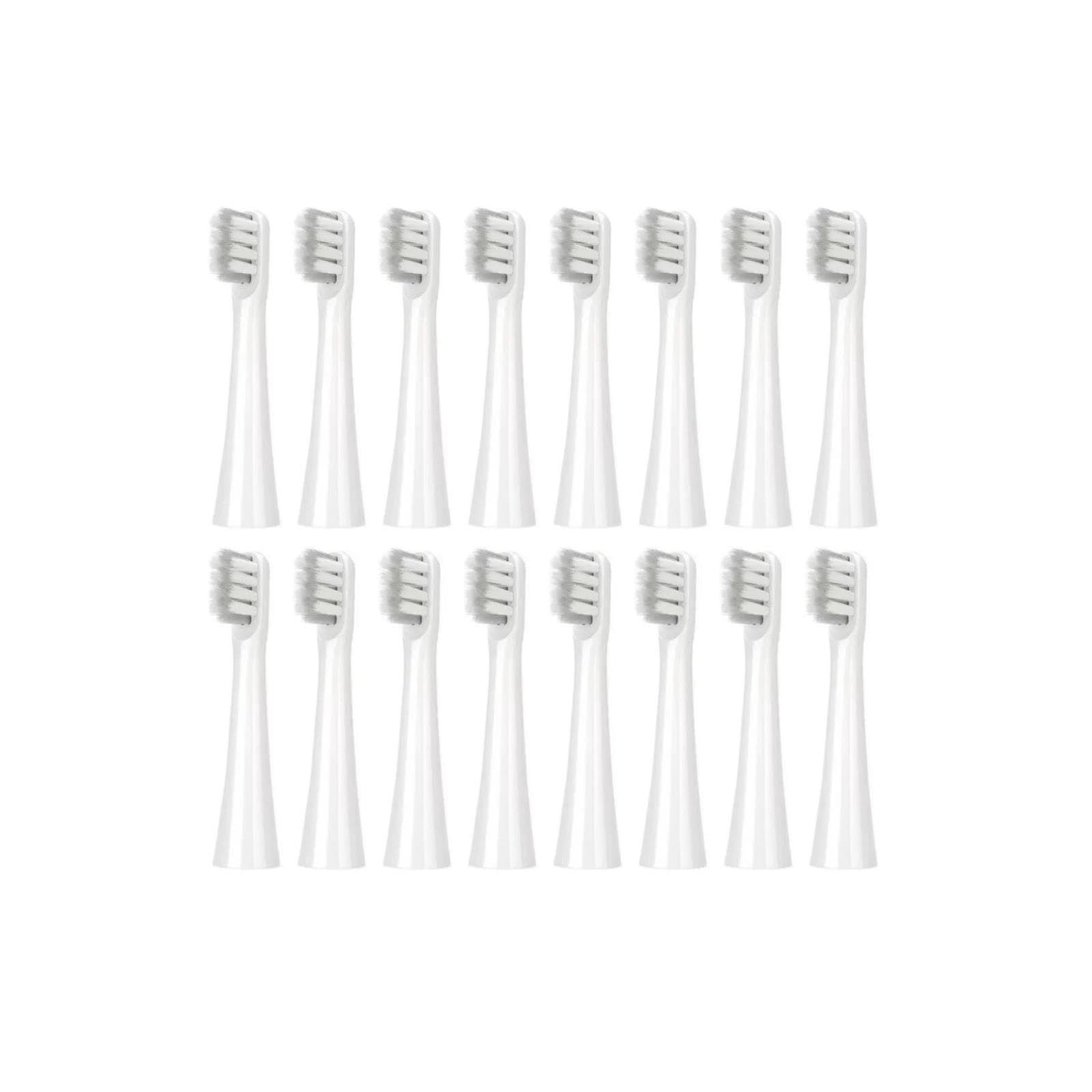 Testine, Compatibile Con DR.BEI, C3 Y1 GY1 C6X | Testine per adulti, plastica, 8CM(16PCS)