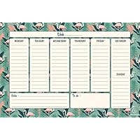 Exacompta 337001X - Escribanía/Calendario perpetual Color Design con 60 hojas encoladas y arrancables, Tamaño 27x18cm,Textos en Inglés, Diseño Flamenco