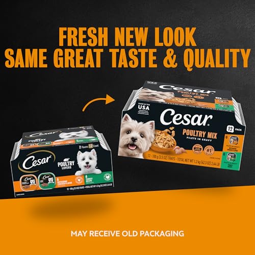 Image of Cesar Filets in Gravy Wet Dog Food, Poultry Mix, 3.5 oz, 12 Count, 2-Pack | Rotisserie Chicken & Turkey flavors, real poultry, easy to digest, no fillers or artificial flavors, easy peel trays
