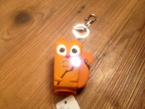 Bath and Body Works Squirrel Keychain Antibac Holder with Light up Marshmallow on Stick