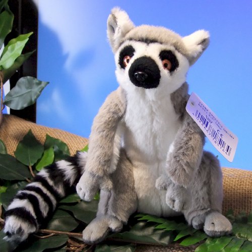 Lemur 8" by Leosco by Leosco