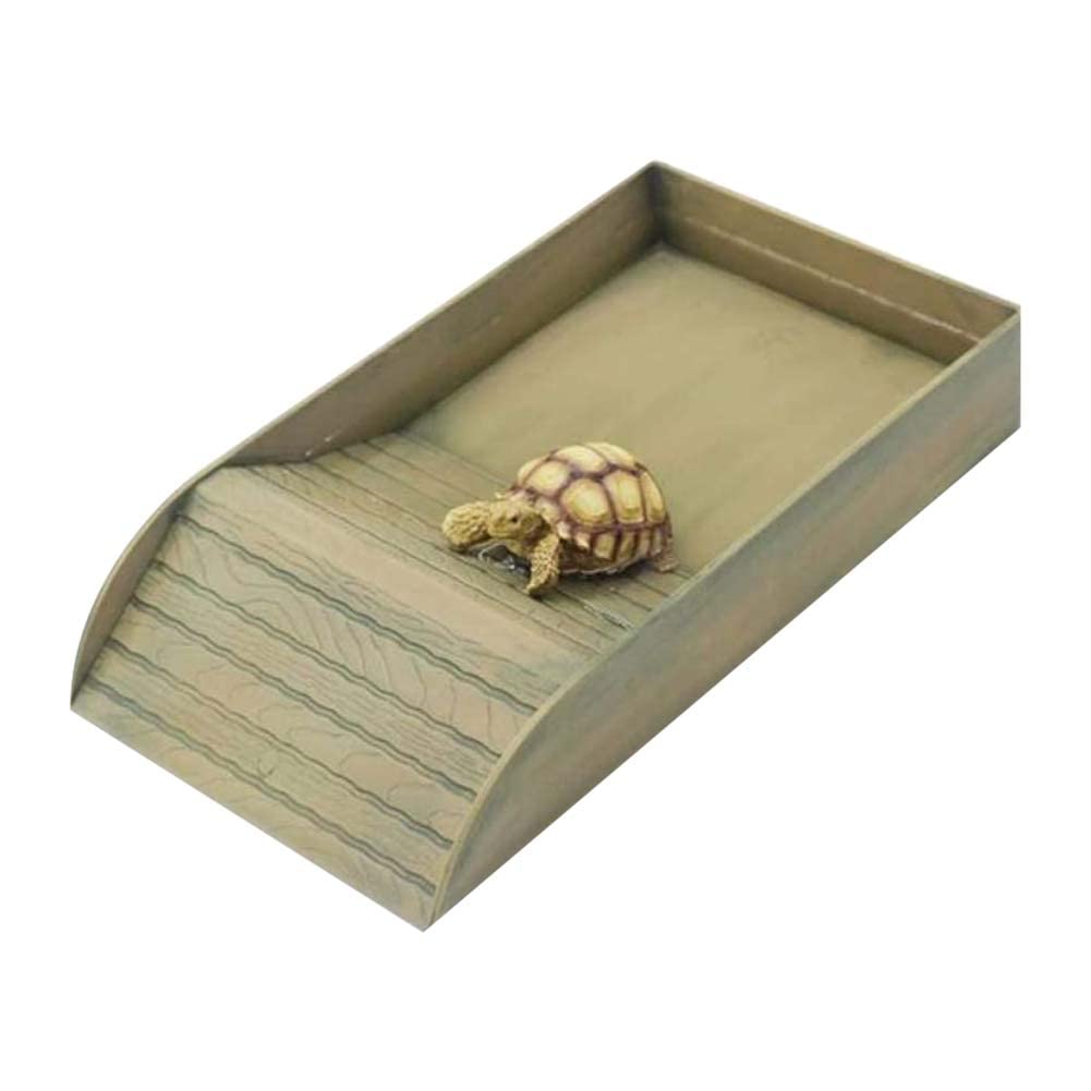 Buy EHOTER Large Reptile Tortoise Feeding Dish with Ramp and Basking