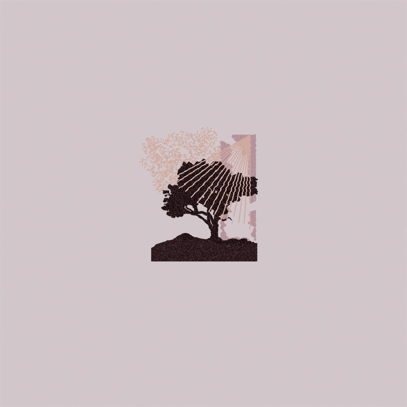 PERFORMANCES (ECOMIX) [VINYL]