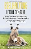 Eselhaltung leicht gemacht: Grundlagen der artgerechten Haltung des geselligen Freundes 