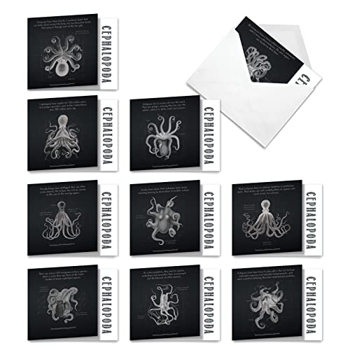 The Best Card Company - 10 Blank Note Cards with Envelopes (4 x 5.12 Inch) - Octopus Photos, Bulk Boxed Set - Octo-Facts MQ4957OCB-B1x10-NB