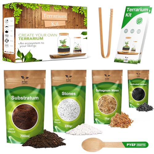 PYEF CRAFTS DIY Terrarium Kit for Plants – Starter Set for Garden in Bottle – Self‑Sustaining Ecosystem – Supplies for Succulents, Air Plants, Fern – Set without Jar (M), Without Plants