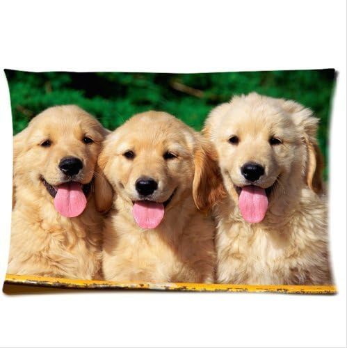 Custom Cute Golden Retriever Dogs 20x30 inch Twin Sides Zippered Pillowcase Pillow Covers