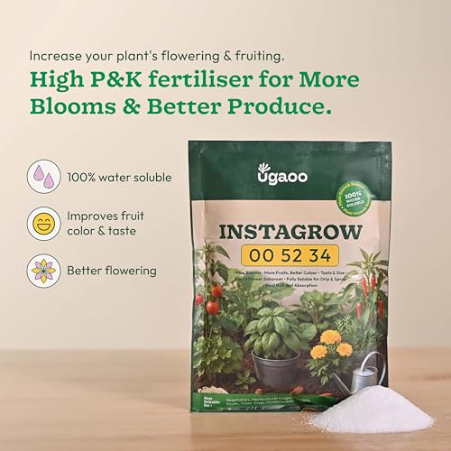 Image of Ugaoo InstaGrow NPK 00:52:34 Fertilizer (250g) | Water-Soluble Fertilizer for Flowering & Fruiting | Boosts Root Growth & Bloom Quality