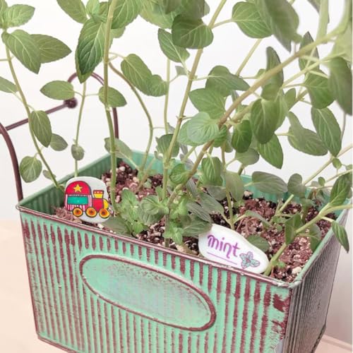 15 Stück 3-8cm Steine zum Bemalen Kieselsteine Malsteine Kies Dekosteine Naturstein Gemalter, Glatte Kieselsteine zum Bemalen Natürliche Flusssteine Strand Kiesel für Bunte Malerei Dekoration