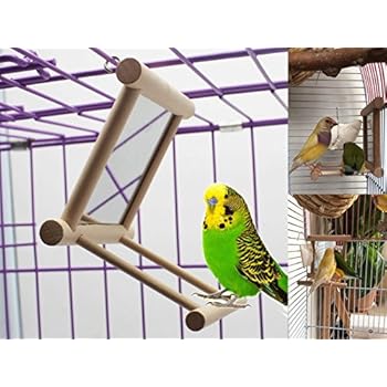 bird swing with mirror