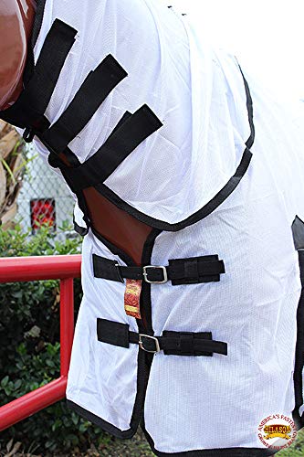 Hilason 75 Inches Horse Ultra Violet Rays Protect Mesh Bug Mosquito Horse Fly Sheet Summer Spring White | Fly Sheet | Horse Turnout Sheet | Fly Sheet For Horses | Bug And Mosquito Protection | Fly #TOP4