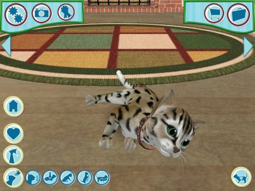 Catz 2006 Pc - vue 3