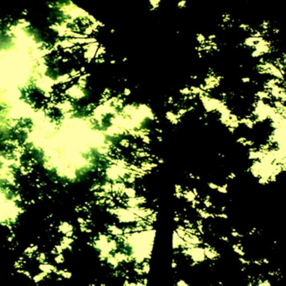 50枚限定 everyone AZS by Vincent 50枚限定 everyone AZS by Vincent 美術品・アンティーク