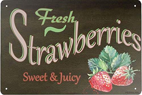 HERYNLRN - Letrero retro de metal con diseño de regla de inodoro, para interiores y exteriores, hogar, bar, café, cocina, decoración de pared de 20 x 30 cm