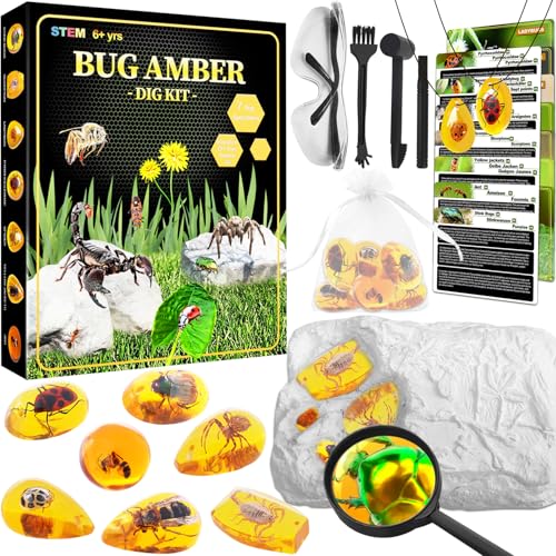 Bernstein Ausgrabungsset für Kinder ab 6 7 8 9 10 11 12 Jahren, Fossilien Ausgrabungsset Kinder mit 7 Künstliche Insektenfossilien und Ausgrabungszubehör, Edelsteine Ausgraben für Jungen Mädchen