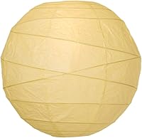 Vista 5 de Luna Bazaar Faroles redondos de papel de 8 pulgadas