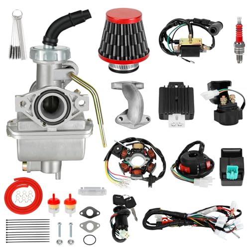 EOPOAYI Electric Start Complete Wiring Harness & PZ20 Carburetor Kit Compatible with Tao tao Coolster 110cc 125cc Chinese ATV 4-Stroke Engine Quad 4 Wheeler Parts with Ignition Coil Rectifier CDI Box