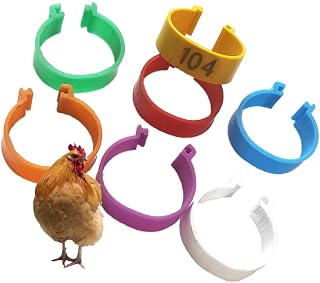 Chicken Foot Ring Clip-on Poultry Ankle Strap for Cockfighting, Duck Breeding Mark and Strip 8mm/10mm/12mm/14mm/16mm/20mm/25mm 20mm Mixed color001-400 (Mixed color001 200)