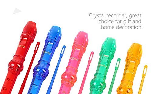 Everjoys Soprano Descant Recorder 8 Hole-3 Piece Kids Crystal Music Flute W/Cleaning Rod Bag Instruction Green #TOP6