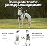 Huntboo Hunde Sicherheitsgeschirr, Sicherheitsgeschirr für Hunde, Vollständig Reflektierendes Geschirr mit Gepolstertem Griff, Wasserdicht, Verstellbare Weste (Schwarz, M)