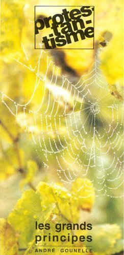 Télécharger Protestantisme : Les grands principes PDF Ebook En Ligne