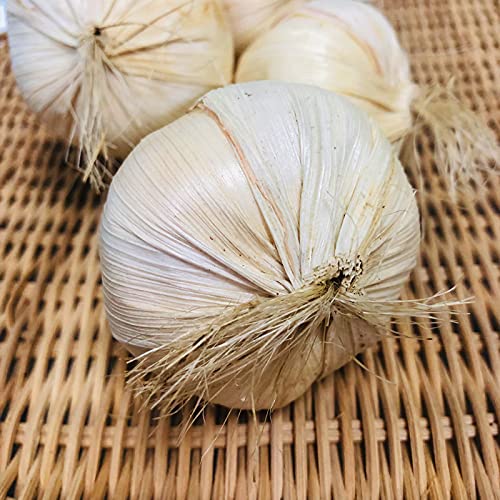 Artificial Vegetables Foam Garlic Strings 20 Inch Faux Vegetables For Home Kitchen Party Pub Decoration (Garlic, 4 Strings) #TOP2