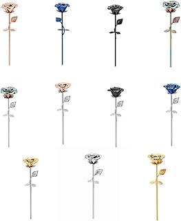XSMZB Eternal Love 24K Gold Rose Cremation Urns Long Stem Keepsake Memorial Funeral Urn Holder Ashes for Pet/Human Unisex (Customize)