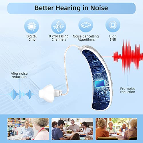 Lesibo Hearing Aids For Seniors Rechargeable With Noise Cancelling,Over The Counter Hearing Aids For Adults,Otc Hearing Aid Severe Hearing Loss,Ear Amplifier For Hearing Amplifiers(Left Ear Only) #TOP2