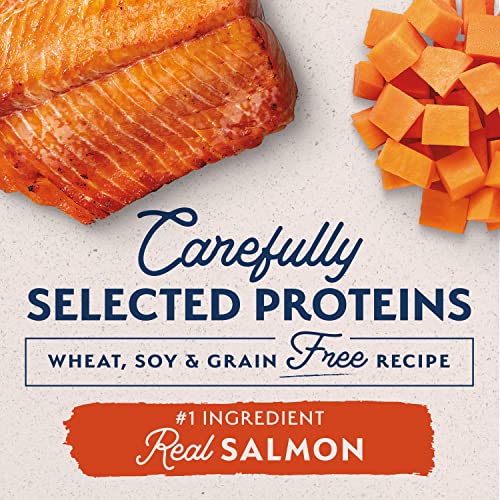Natural Balance Limited Ingredient Small Breed Adult Grain-Free Dry Dog Food, Salmon & Sweet Potato Recipe, 4 Pound (Pack Of 1) #TOP7