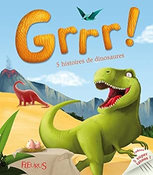 Hardcover GRR ! HISTOIRES DE DINOSAURES ! (+TATOOS) [French] Book