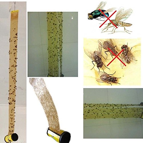 Sticky Paper Insectiode xbwwt Fly Sticky Paper Strip Mosquitos Killer Catcher Flying Insect ...