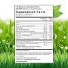 Irwin Naturals Advanced Absorption Mega-B Complex - 60 Liquid Soft-Gels - High Potency B-Vitamins with Quick Energy MCTs - 60 Servings