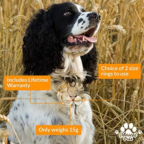 Hound & Yard Extra Loud Pair of Cat or Dog Brass Silver Bells Collar Charm Handmade Pet Tracker Tracking Acorn Falconry (Medium)