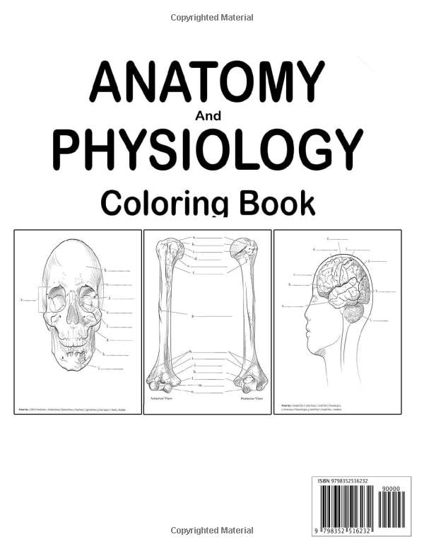 Snapklik.com : Anatomy And Physiology Coloring Book Muscles And Bones