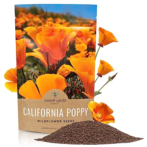 California Orange Poppy Wildflower Seeds - Bulk 1/4 Pound Bag - Over 80,000 Native Seeds...