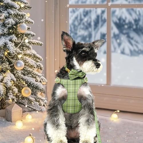 Beirui Cute Extra Small Dog Harness Collar and Leash Set with Bowtie, Soft Adjustable Plaid Puppy Harness for Small Sized Dogs Cats Walks Parties and Photoshoots(Green,XS:Chest 13-18") by Beirui - Used condition - Image 4