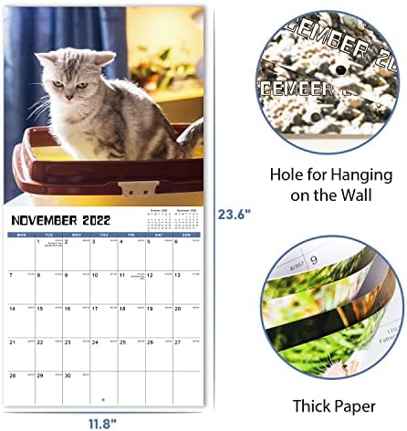 Hcc Calendar Fall 2023 Wall Calendar 2022-2023 - Pooping Cats Wall Calendar From July 2022 To  December 2023, Funny Cats Calendar, 30.5 X 61 Cm (Open), Unruled Blocks  With Thick Paper : Amazon.co.uk