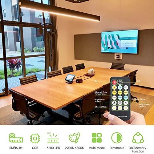 Qige 16.4Ft Rgb Cob Led Strip Kit +16.4Ft Tunable White Cob Led Strip Kit #TOP6