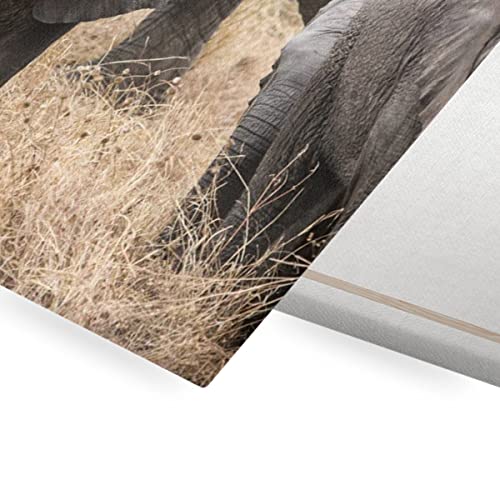 Affiche poster bébé éléphant savane | Tableau décoratif moderne - 2