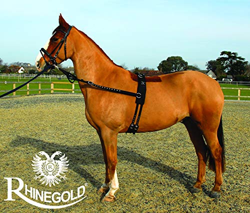 Rhinegold Training/Breaking Set