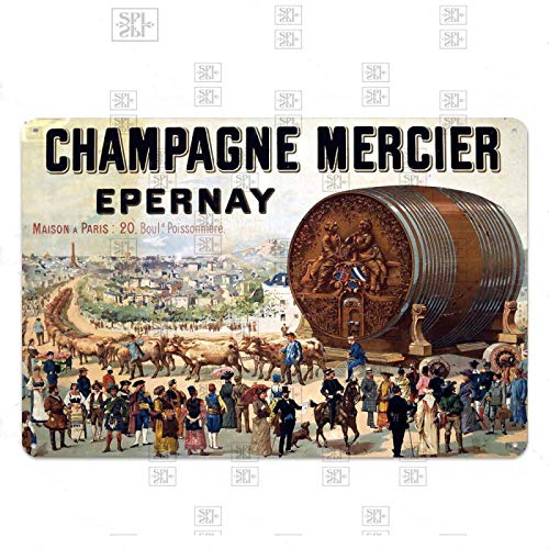 IMIMOEXQ Champagne Signe en métal Plaque Vintage Bar Boisson Bouteille de vin Signe en étain Club décoration Conseil 20x30 cm YYY103 Cover