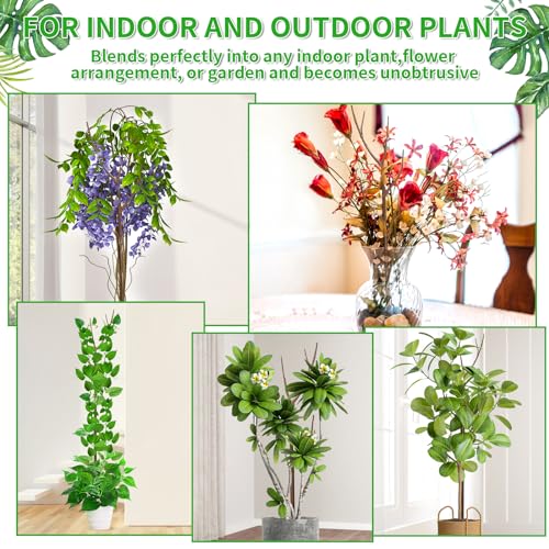 ROADPLUM 4 Pack 27.56" Detachable Twig Plant Support Stakes Set, Blends in to Plant, Branch Plant Sticks with Orchid Clips Twist Plant Ties, Twig Trellis for Indoor Outdoor Plants Potted Plants Flower by ROADPLUM - Image 7