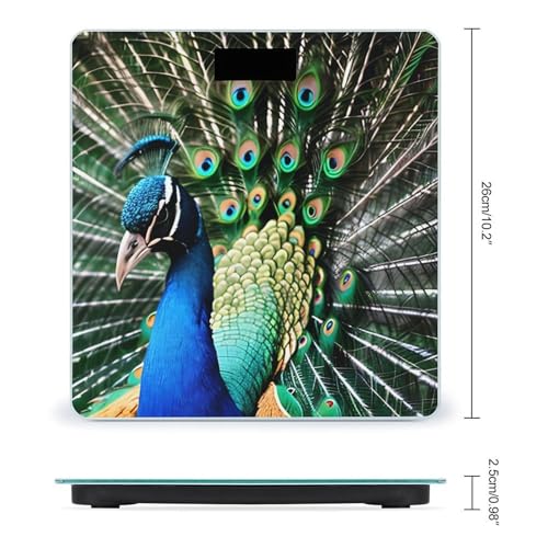 Báscula digital Peacock para peso corporal hasta 180 kg miniatura 2