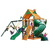 Blue Ridge Mountaineer Swing Set