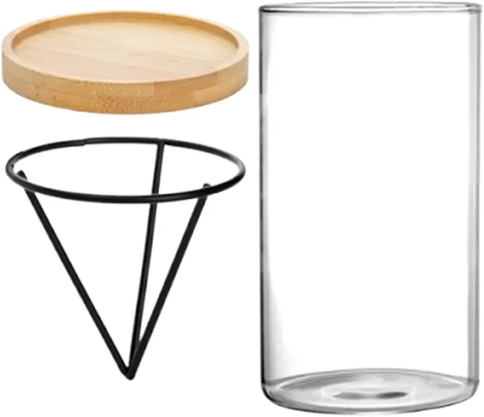 Avokado odlingskit träbas glasgrodd kruka