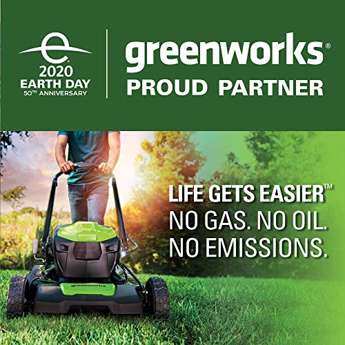 Greenworks 12-Inch 24V Cordless String Trimmer/Edger, 2.0 AH Battery Included 21342