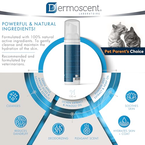 image for Dermoscent Essential Mousse - Dry Shampoo for Cats - Rinse Free Foam t