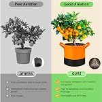 3 Gallon Fabric Grow Bags 5-Pack, 350G Heavy Duty Nonwoven Fabric Pots with Handles, Breathable Grow Planter for Vegetables Flowers Indoor Outdoor Gardening