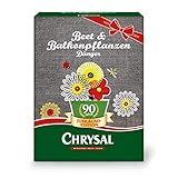 Chrysal